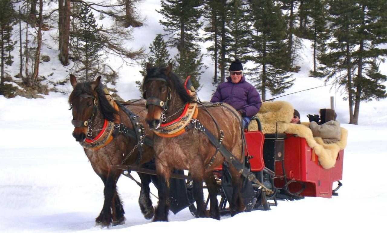 Hotel Roseg-Gletscher Pontresina Luaran gambar