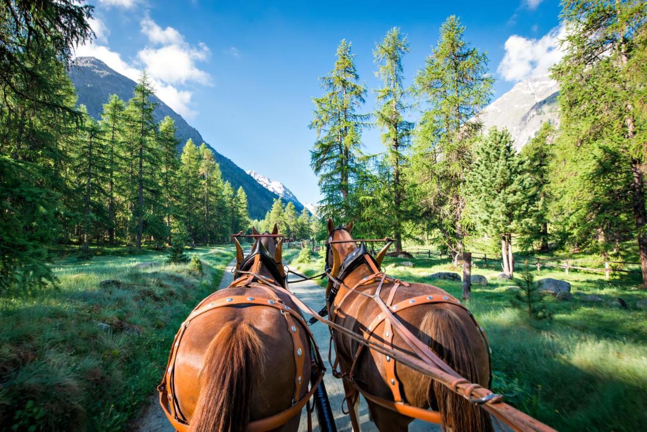 Hotel Roseg-Gletscher Pontresina Luaran gambar