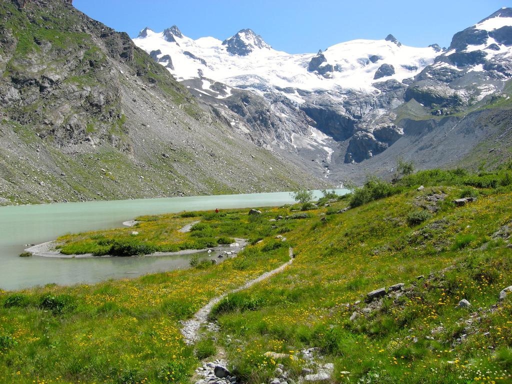 Hotel Roseg-Gletscher Pontresina Luaran gambar