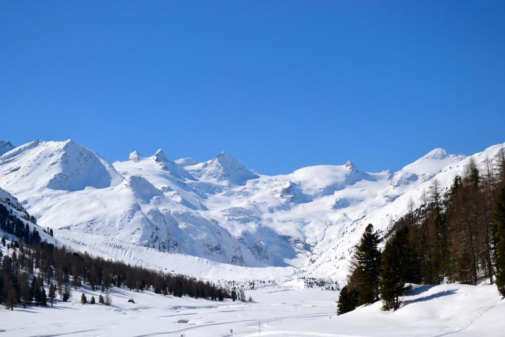 Hotel Roseg-Gletscher Pontresina Bilik gambar